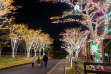 堺でイルミネーションを堪能しよう!おすすめイベントをご紹介!