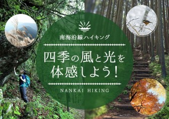 南海沿線ハイキング特集 - 四季の風と光を体感しよう!