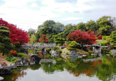 【堺 観光】堺おでかけフリーパスで巡る1日モデルコース