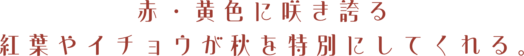 赤・黄色に咲き誇る紅葉やイチョウが秋を特別にしてくれる。