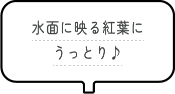 水面に映る紅葉にうっとり♪