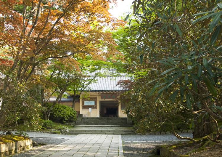 高野山 奥之院 徹底ガイド～見どころ・アクセス・御朱印情報など | 大阪・和歌山のおでかけ情報otent(おてんと)