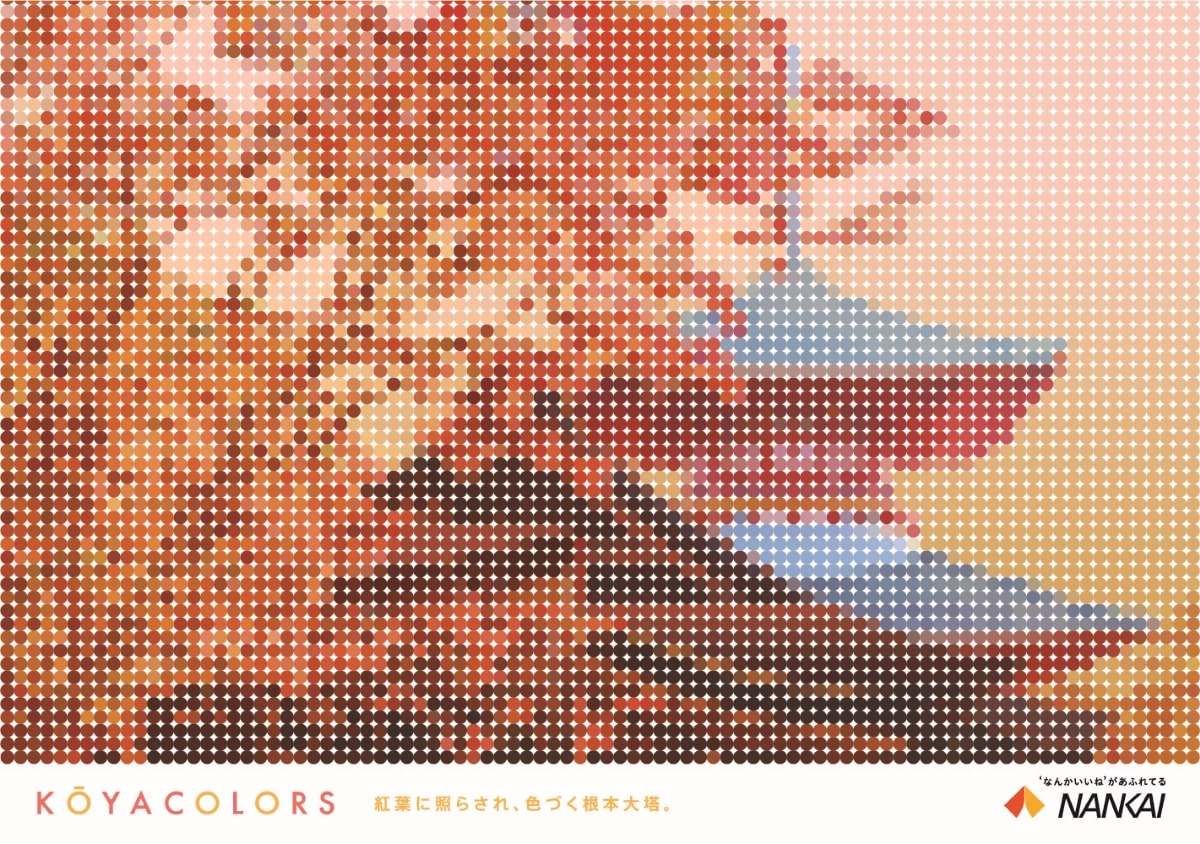 KOYACOLORS〜2023.秋〜古刹と紅葉が織りなす美しき秋の高野山へ