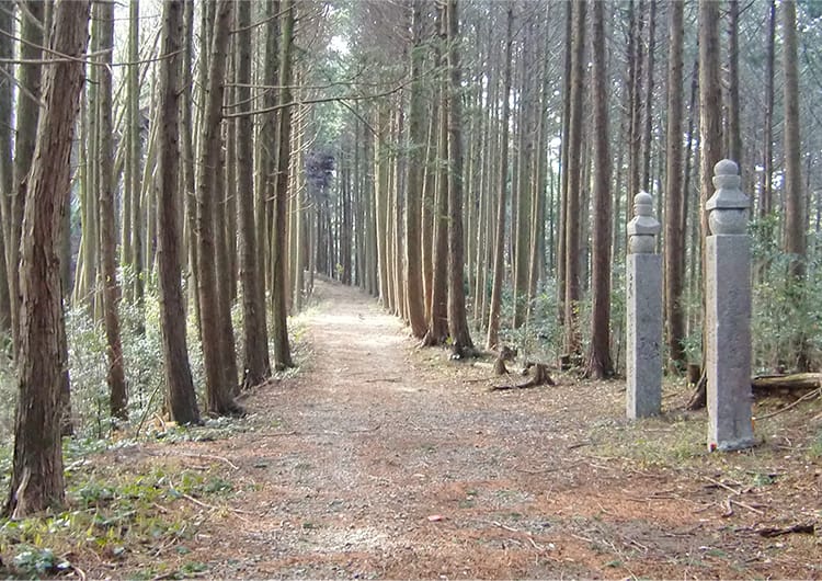 世界遺産「高野参詣道町石道」クリーンハイキング（2022年5月14日開催分）　第2回