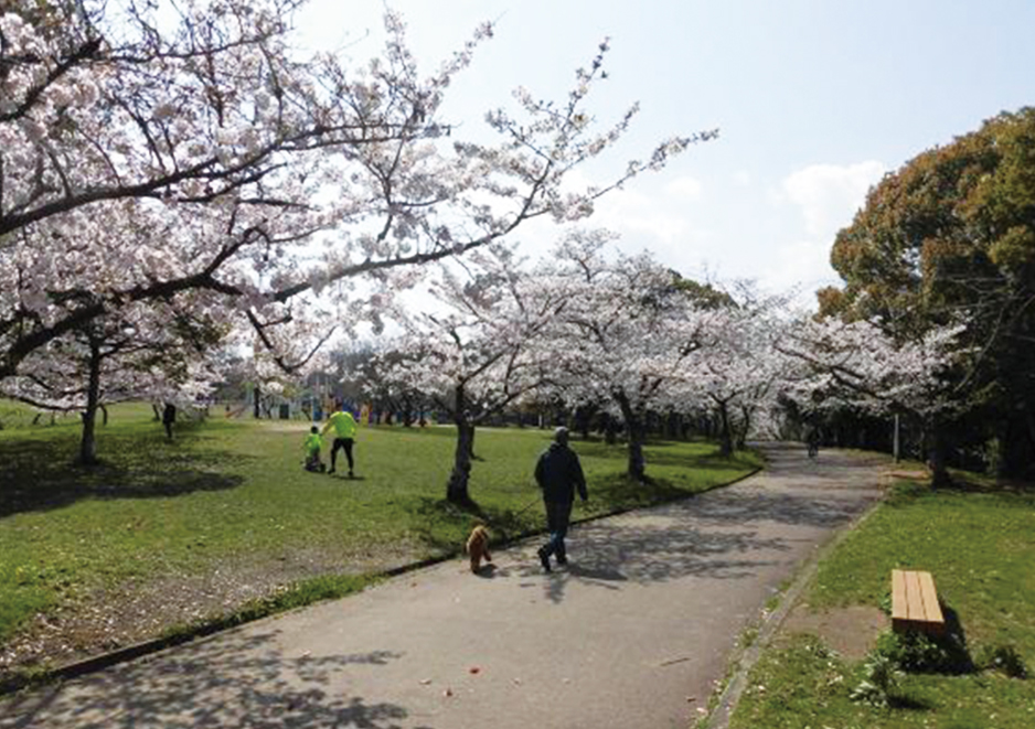 「荒山公園俳句ウォーク」を開催します！