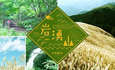 岩湧山/滝畑四十八滝】家族で楽しめる登山・ハイキングコース