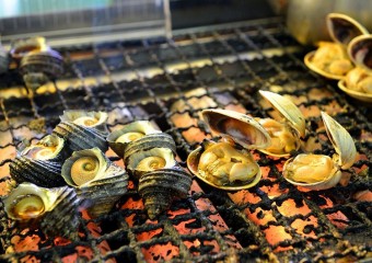 加太で味わう豊かな自然が生んだ本物の美味しさ