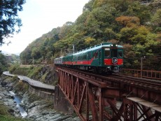 天空の聖地・高野山への旅を彩る【こうや花鉄道】