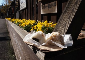 九度山駅で、『お、おお、おにぎりが食べたいんだな!!』