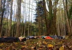 森林セラピー体験ツアー