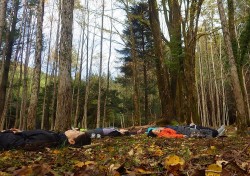 森林セラピー体験ツアー