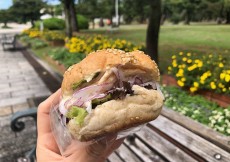 泉大津駅長おすすめ!駅周辺スポット