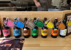 南海線列車区長 おすすめスポット