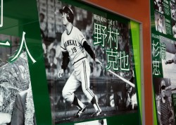 南海ホークスメモリアルギャラリーがリニューアル！