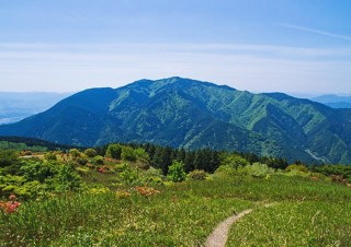 金剛山のキャンプ場「ちはや園地」で自然と星空を満喫!