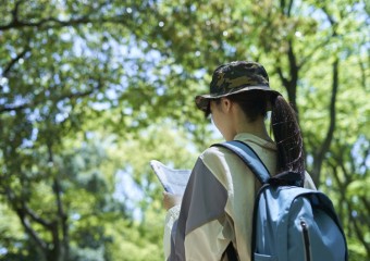 初心者も楽しめる金剛山の人気ルート2選！見どころと所要時間をご紹介