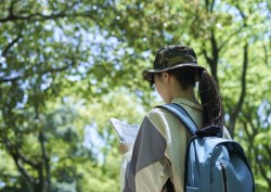 初心者も楽しめる金剛山の人気ルート2選！見どころと所要時間をご紹介