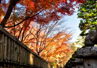 高野山の紅葉はいつが見ごろ？ベストスポット紹介