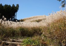 岩湧山/滝畑四十八滝登山・ハイキング