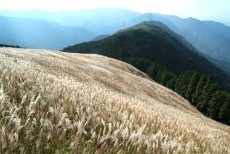 岩湧山ダイヤモンドトレール