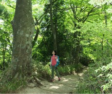 南海・高野線沿線ハイキング