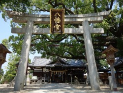 百舌鳥八幡宮に行こう!月見祭などの見どころや駐車場情報まで