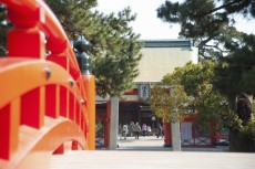 住吉大社で厄除の御祈祷！料金や混雑時期、服装について