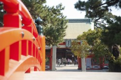 住吉大社で厄除の御祈祷!料金や混雑時期、服装について
