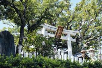 百舌鳥八幡宮の御朱印やご利益情報まとめ