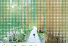 KOYACOLORS〜2022.夏〜 涼を求めて夏の高野山へ