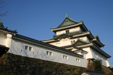 和歌山城の観光・見どころやアクセス情報まとめ