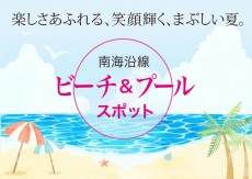 南海沿線 ビーチ &プールスポット