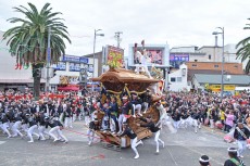岸和田だんじり祭とは?魅力や見物の際の注意点を解説