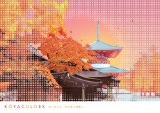 KOYACOLORS〜2022.秋〜色鮮やかに染まる高野山へ紅葉を愛でに