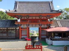 紀州東照宮とは?見どころやアクセス情報まとめ