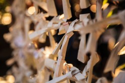 おみくじの「吉」の運勢や順番は？「吉」にはどんな種類がある？