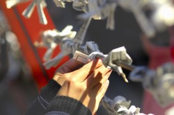 おみくじは結ぶもの？持ち帰った時の処分方法は？