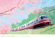 南海電鉄と桜のイラスト