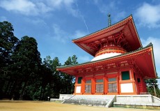 壇上伽藍とは？見ておくべきスポット7選