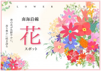 春の花スポット特集