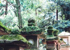 高野山 奥之院 徹底ガイド～見どころ・アクセス・御朱印情報など