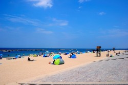 ぴちぴちビーチとは?楽しみ方や周辺観光スポットまでまとめ