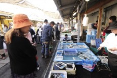 田尻漁港とは？その魅力やアクセス方法を徹底解説