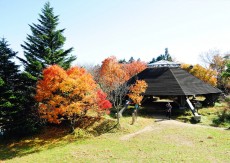 金剛山からの眺め