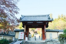 楠木正成ゆかりの寺・観心寺とは