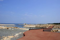 せんなん里海公園の楽しみ方・アクセスガイド