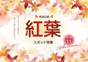 南海沿線紅葉スポット特集