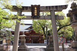 岸城神社とは?見どころやアクセス情報まとめ