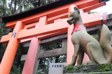 初午とは?行事の由来や食べ物、神社情報までまとめて解説