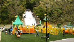 錦織公園を楽しもう!遊びどころや見どころ、アクセスガイド